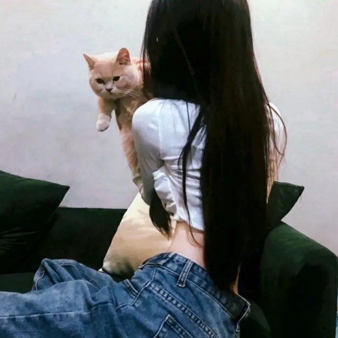 暗金烂狗7